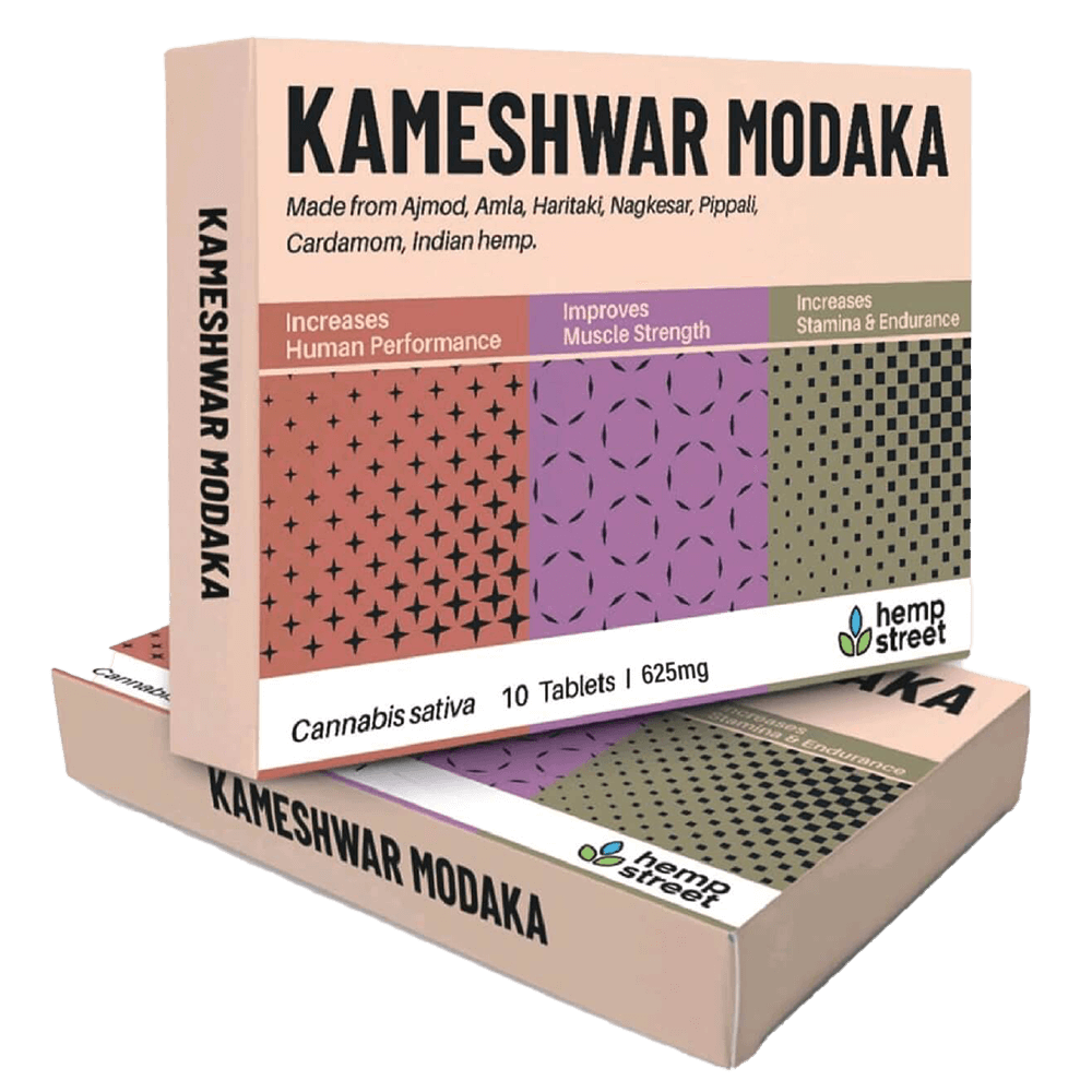 Kameshwar Modaka Tablet