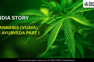 India Story : Cannabis (Vijaya) in Ayurveda Part 1