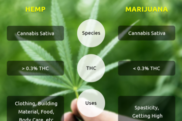 Difference between Marijuana and Hemp