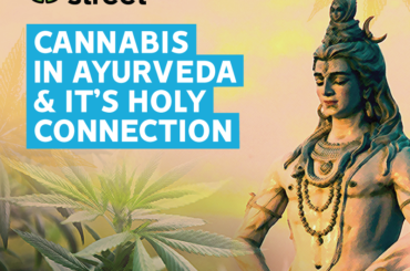 Cannabis in Ayurveda and Holy connection