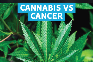 Cannabis in curing Cancer. How is it better than other Painkillers?