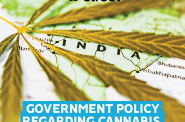 Government Policy regarding Cannabis