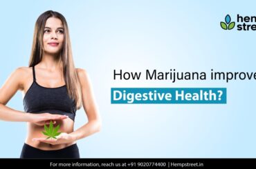 How Cannabis Improves Your Digestive Health