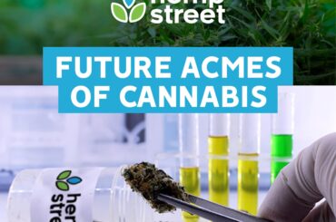 Future acmes of Cannabis