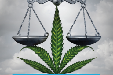 Regulated Market for Cannabis