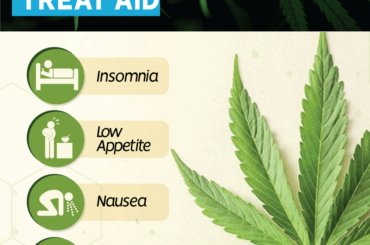 Cannabis as a treat aid