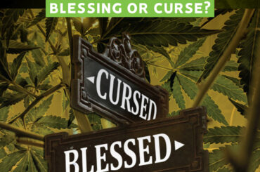 Blessing or Curse?