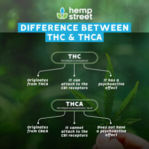 THC Vs THCA: Understanding The Key Differences Hempstreet