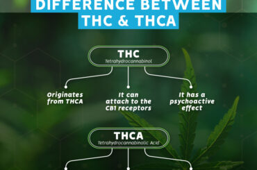 Difference between THC and THCA