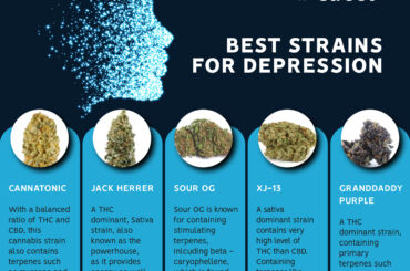 Cannabis’ natural interaction within the human body can help alleviate depression, bringing balance to the system.