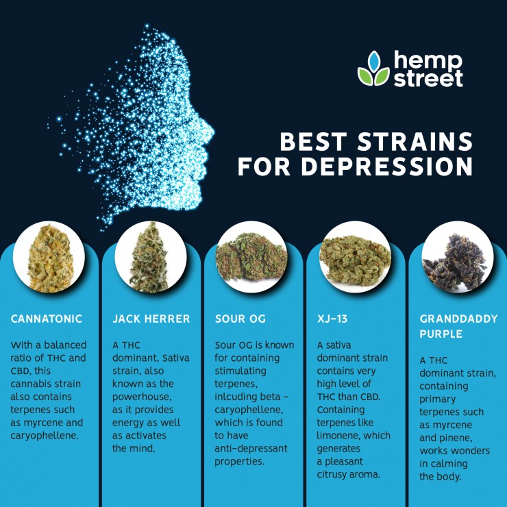 Best cannabis strains for depression Hempstreet Best cannabis strains