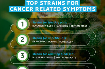 Top Strains for Curing Cancer