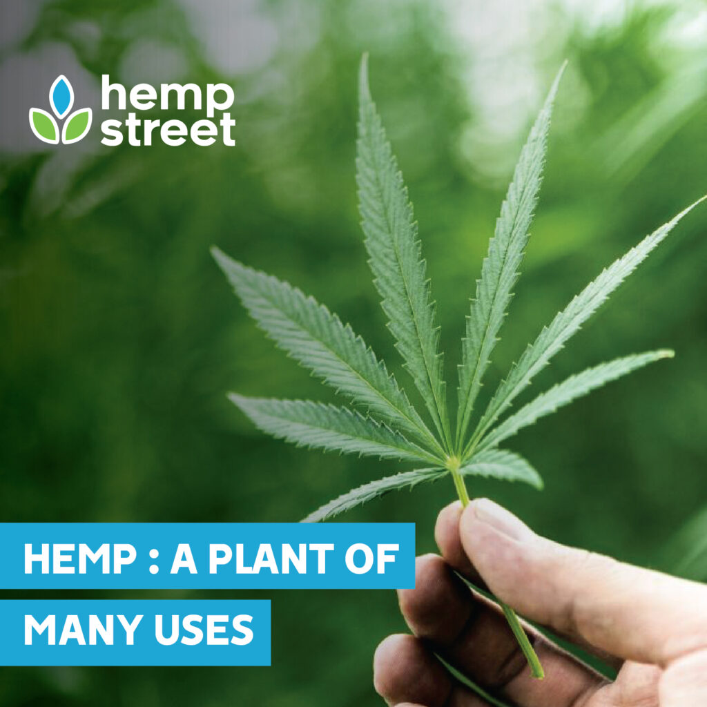 Hemp: Plant of many uses - Hempstreet