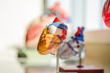 Cannabis for Cardiovascular Diseases