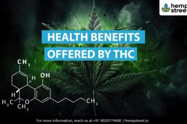 Health Benefits Offered by THC.