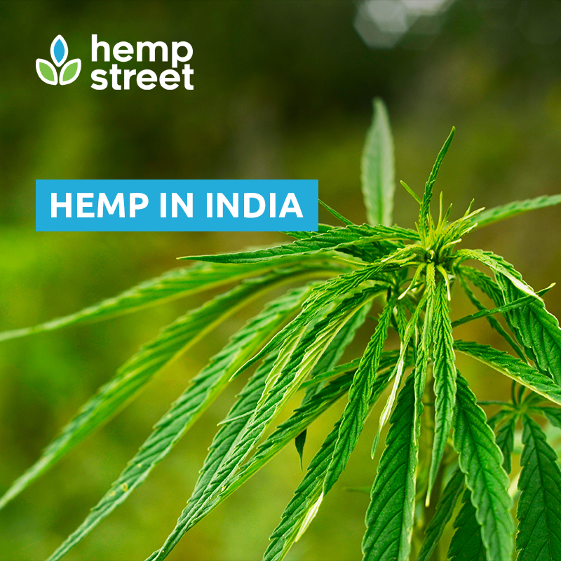 hemp-in-india-hempstreet