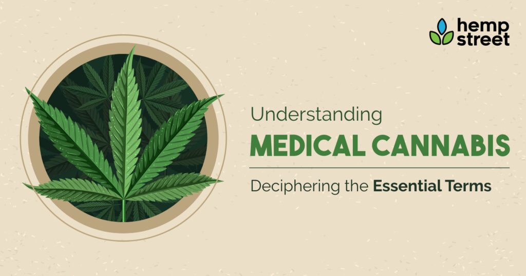 Understanding Medical Cannabis: Deciphering The Essential Terms