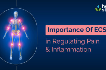 Importance Of ECS In Regulating Pain And Inflammation