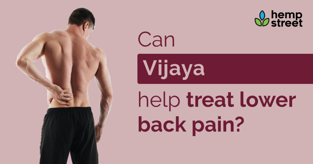 Can Vijaya Help Treat Lower Back Pain?
