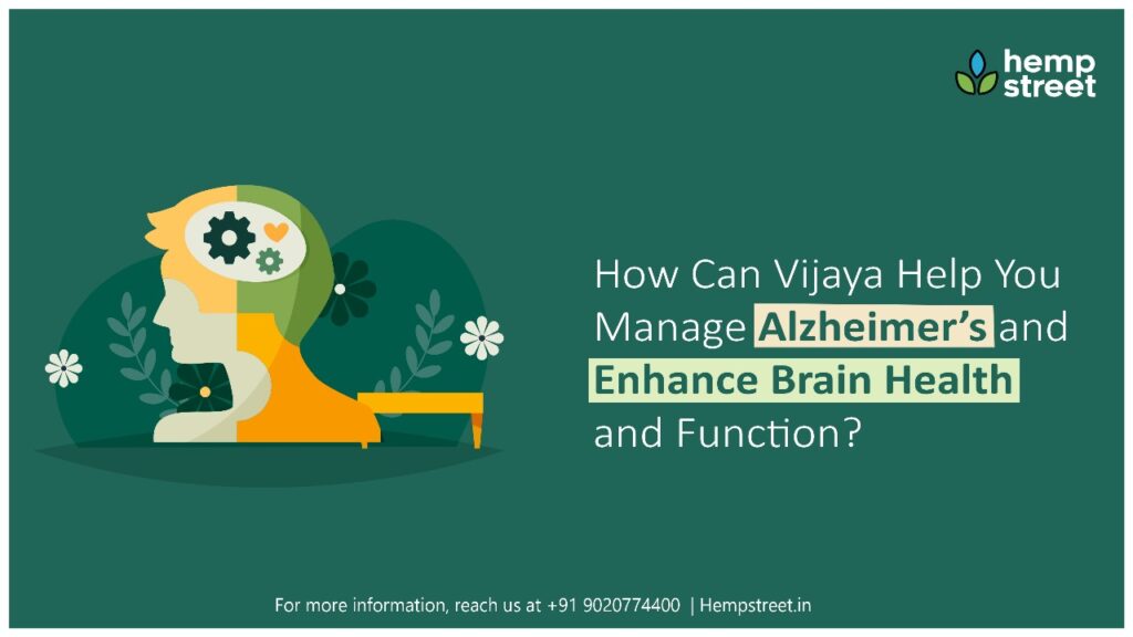 How Can Vijaya Help You Manage Alzheimer’s and Enhance Brain Health and Function?