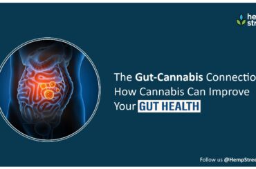 Gut diseases are on an alarming rise worldwide. One of the best ways to alleviate them is by leveraging cannabis, a potent Ayurvedic herb that.