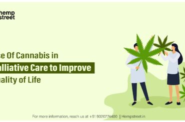 Use of Cannabis in Palliative Care to Improve Quality Of Life