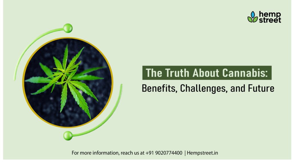 Trace the historical roots, modern applications, and promising future of Cannabis. Discover how informed choices are shaping the dynamic landscape of the cannabis industry.