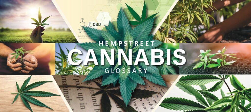 Medical Cannabis–GLOSSARY