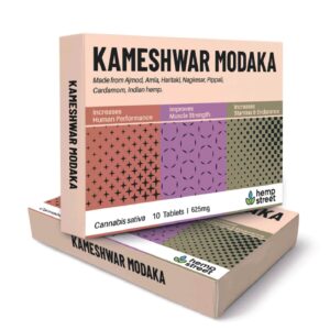 kameshwar Modaka Tablet