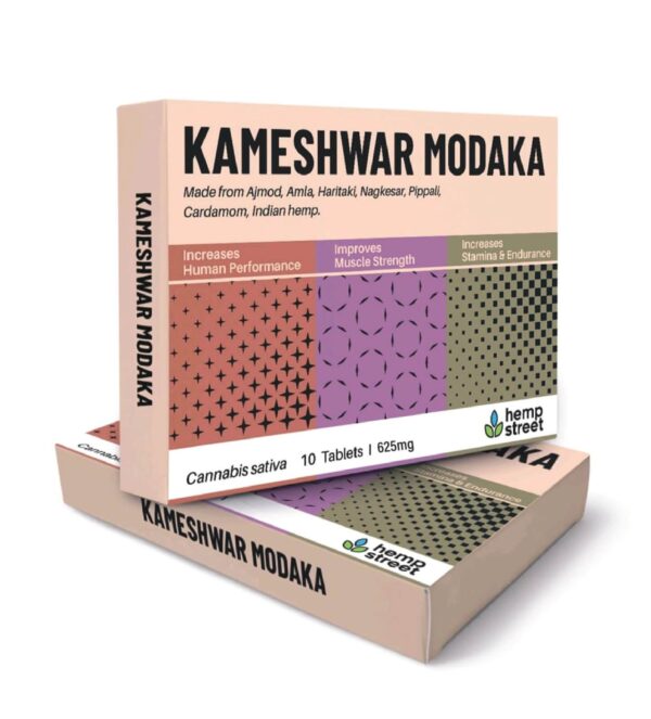 kameshwar Modaka Tablet